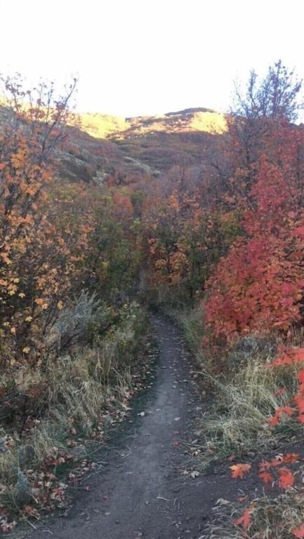 Stay & Play In The Little Switzerland Of Utah!!! Draper Εξωτερικό φωτογραφία